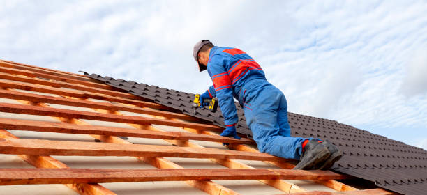 Best Roof Moss and Algae Removal  in Holiday Valley, OH