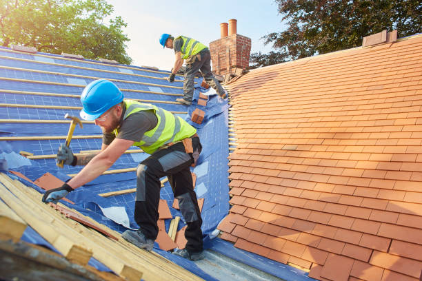 Best Roof Ventilation Installation  in Holiday Valley, OH